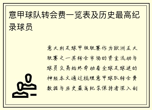 意甲球队转会费一览表及历史最高纪录球员